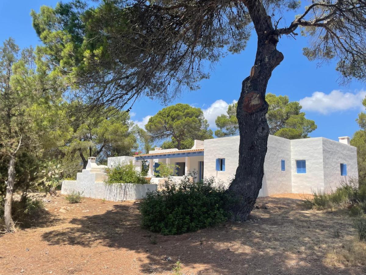 Sa Tanca Des Pla Villa San Francisco Javier Exteriör bild